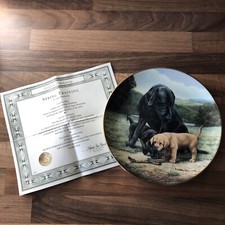 Franklin Mint Plate Black