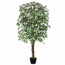 160cm/5.2FT Artificial Ficus