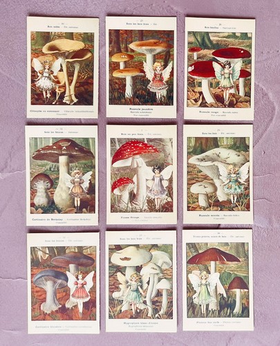 Woodland fairy card toppers - woodland,