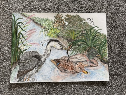 Coloured pencils drawing - pencils,