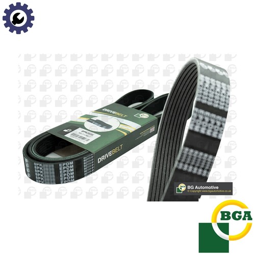 Vribbed belt 8pk1395 - belt, for
