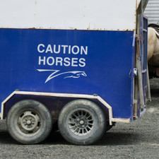 CAUTION HORSES - Horsebox