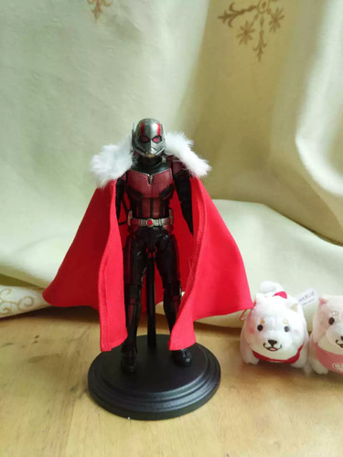 Custom cloak cape - 1/12,