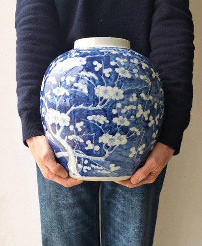 Extra large chinese blue and - chinese,