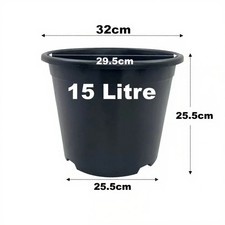 Litre black plant - black,