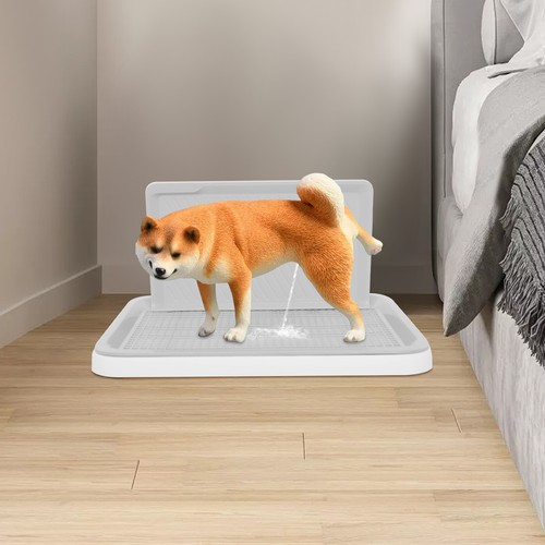 Pet puppy dog loo - pet,