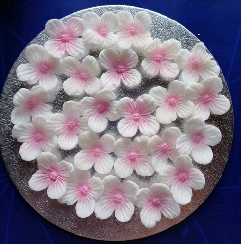 Flower blossom cup - 24,