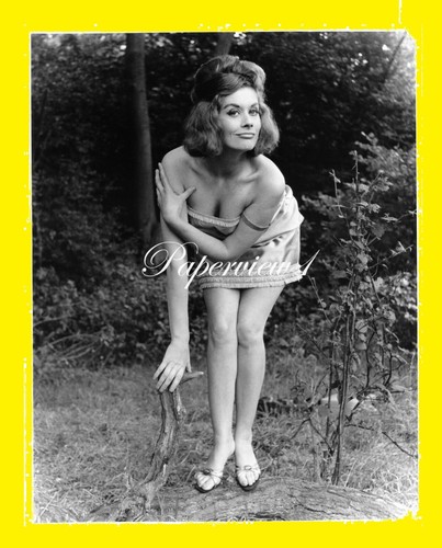 Real photograph 8x10 - photograph, pin