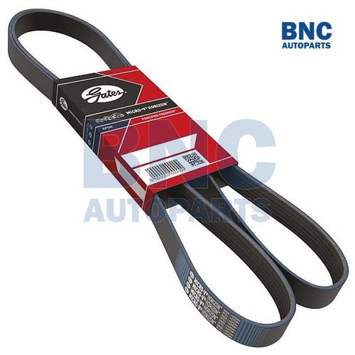 Alternator drive belt fits - alternator,