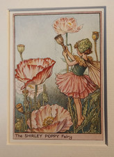 Shirley Poppy Fairy Vintage