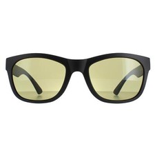 Serengeti Sunglasses Chandler