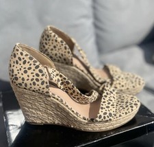 Dorothy Perkins Women’s