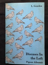 PIGEONS PIGEON RACING HOMING DISEASES LOFTS GEURDEN RARE