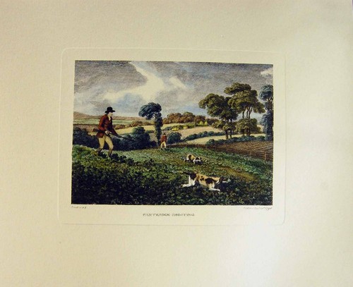 Original old antique print - antique,