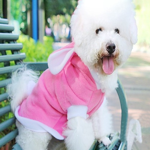 Pet costume rabbit - ,