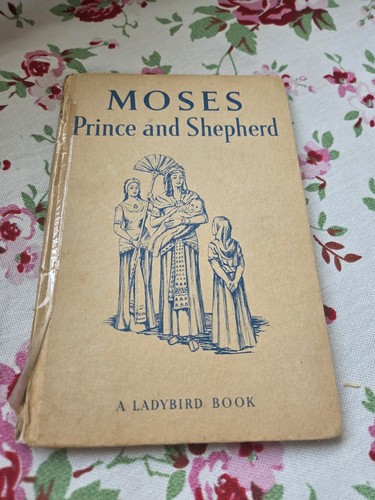 Vintage ladybird moses - ladybird,