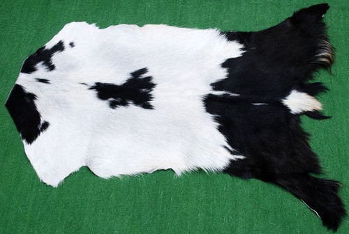 Luxury goat hide rug hair - hide,