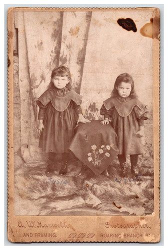 Victorian fashion children - , ~