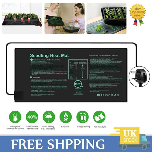 Garden greenhouse plant - garden,