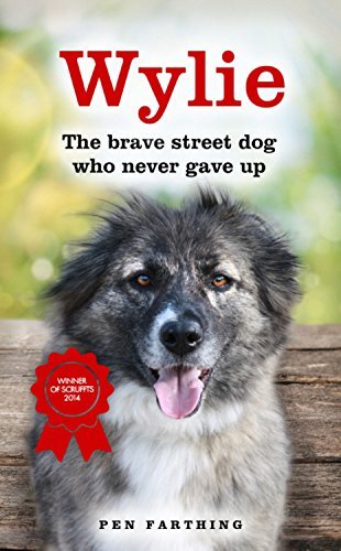 Wylie the brave street dog - wylie:,