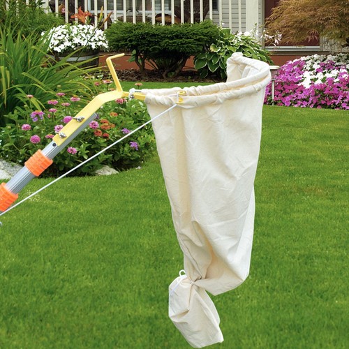 Bee swarming catcher - swarming,