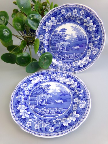 Spode dinner plates milk maid - dinner,
