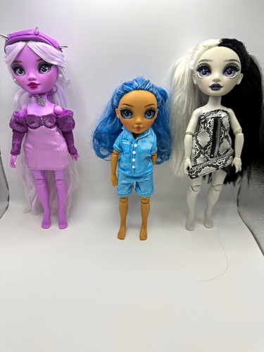 Rainbow high doll bundle