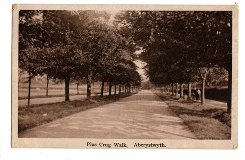 Aberystwyth plas crug walk - crug,