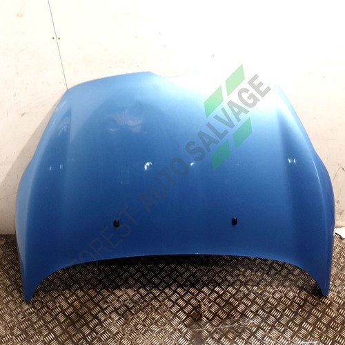 2011 ford fiesta bonnet vision - 2011,