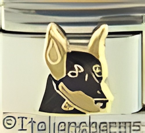 Black doberman pinscher dog - black,