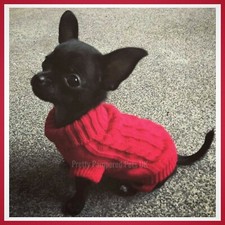 XXXS Tiny Chihuahua Teacup Size Puppy Cosy Knit Coat Red Clothes Dog Red Jumper 