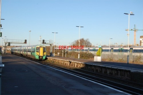 Photo southern emu - (2), 377131
