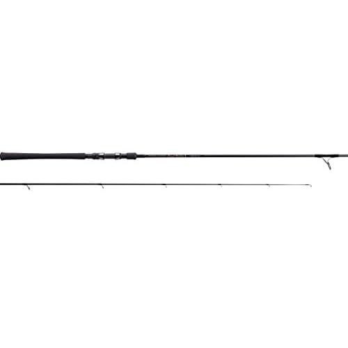 Tenryu spinning rod power - tenryu,