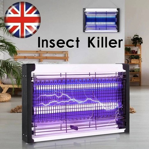 Bug zapper electric insect - electric,