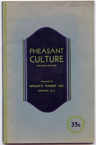 Pheasant culture with a - pheasant,