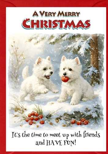 West highland white terrier - terrier, /