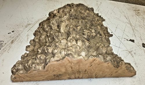 320x260x75mm lot 614a burr - 614a,
