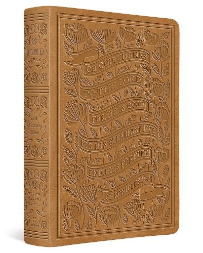 Esv illuminated bible art - esv,
