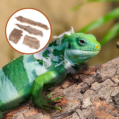 Pcs lizard tank - tank, tree