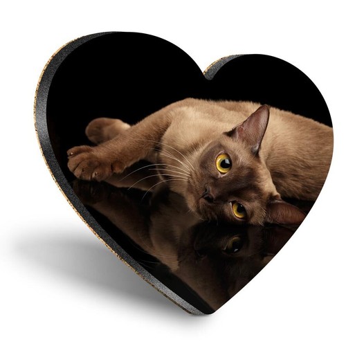 Heart mdf coaster burmese - mdf, cat