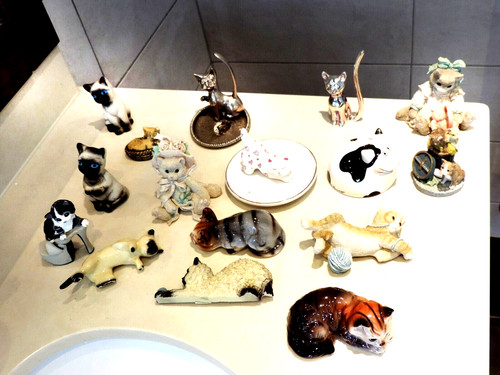Small cat collection sixteen - cat,