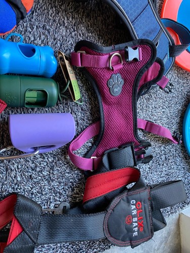 Dog accessories job lot - job,
