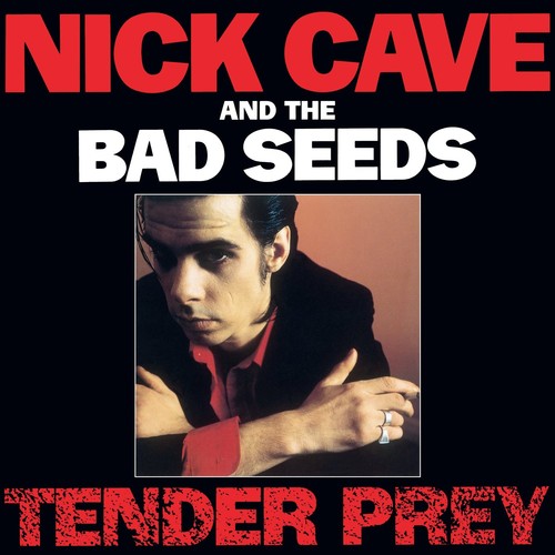 Nick cave the bad - bad,