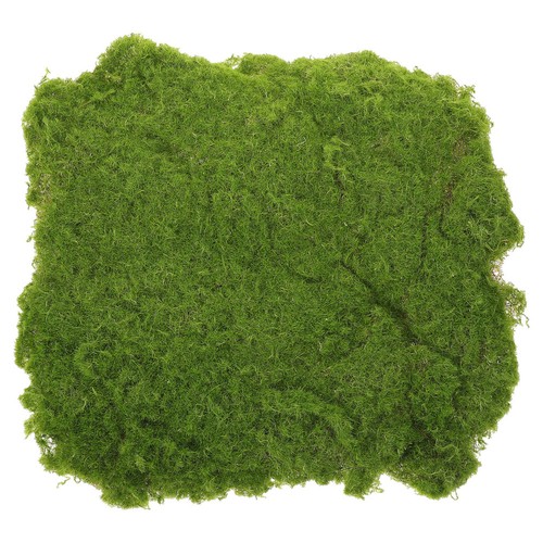 Reusable plastic fairy garden - reusable,