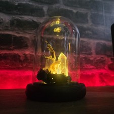 Stunning Light Squirrel Skull