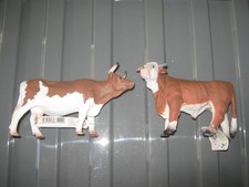 Collect A Hereford bull and