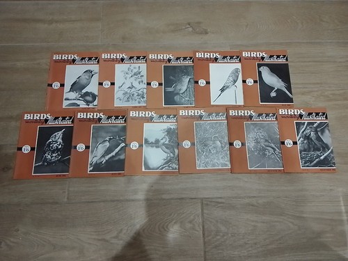Birds illustrated monthly - "birds, monthly"