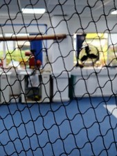 Anti bird netting heavy duty - anti,