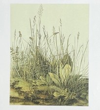 2 Sided Prints. Large Plot Of