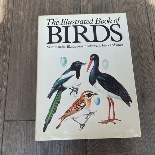 Vintage the illustrated book - vintage,